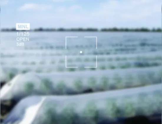 영화 잡초 방제를 위한 농업 UV 부직포 PP 스펀본드 부직포